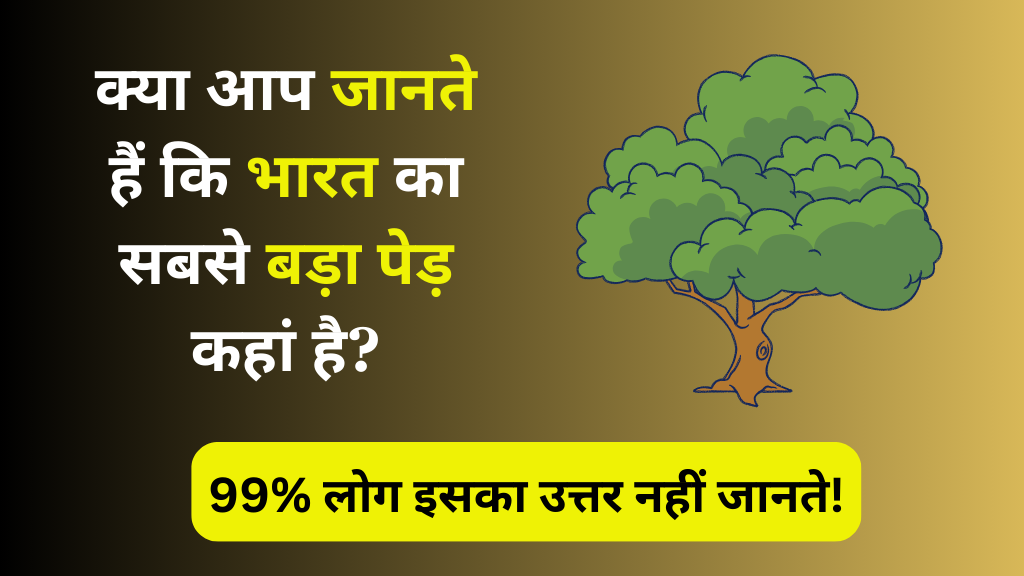 Trending GK Quiz : क्या आप जानते हैं कि भारत का सबसे बड़ा पेड़ कहां है? 99% लोग इसका उत्तर नही जानते !